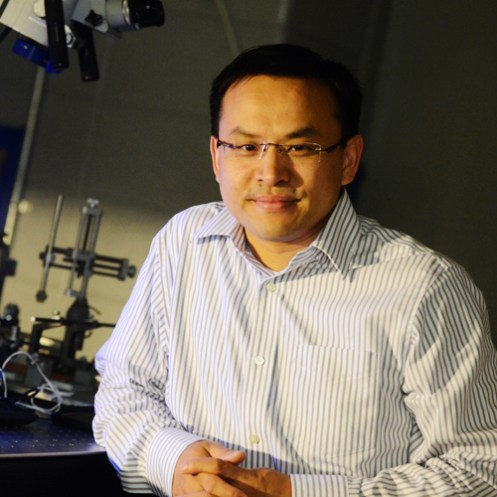 Qi Wang | Writing the Information into the Brain